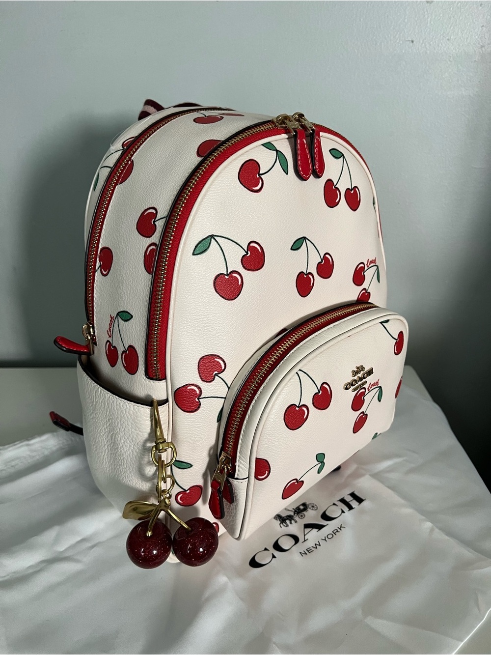 Coach Court Backpack With Heart Cherry Print - Picture 5 of 12